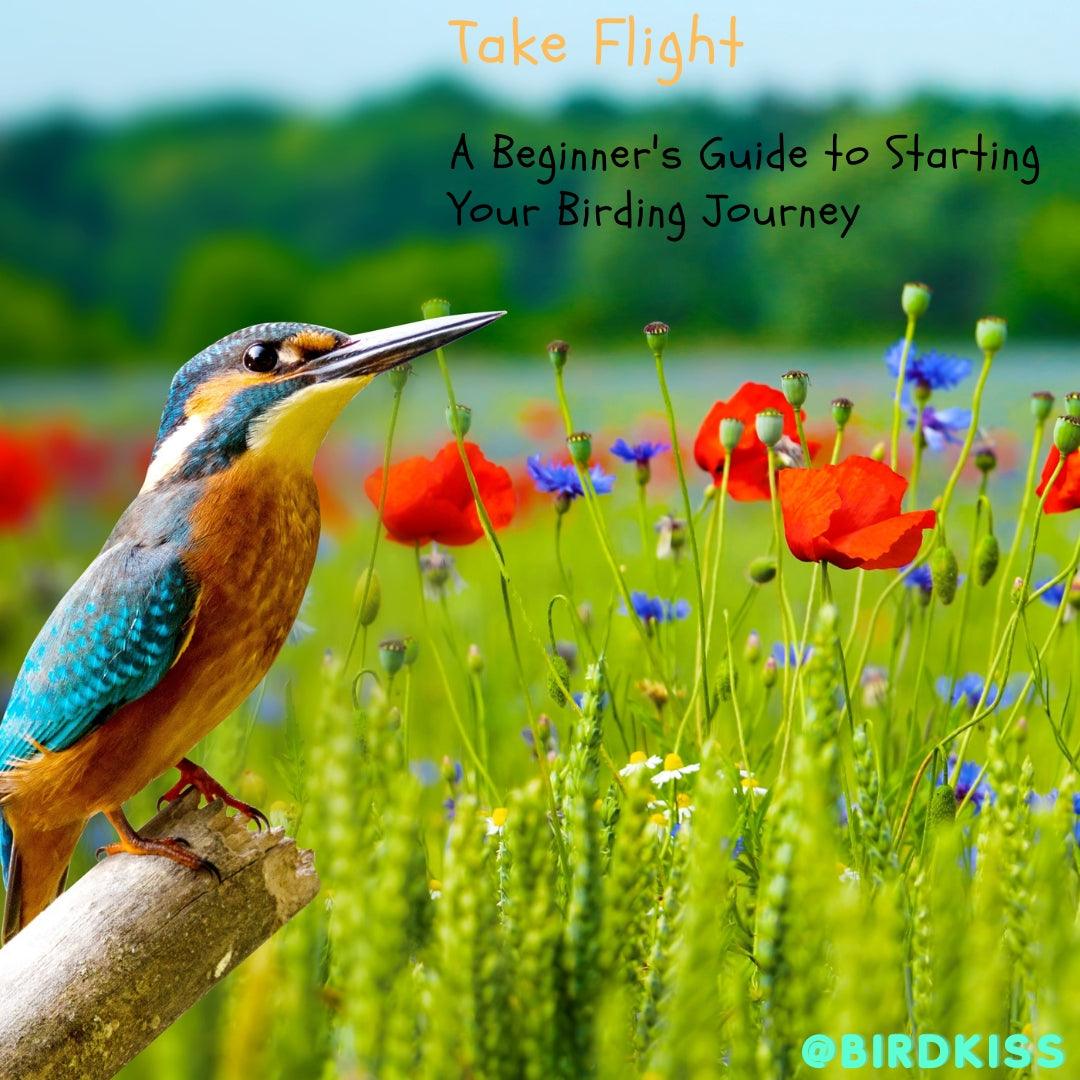 🐦 Take Flight: A Beginner's Guide to Starting Your Birding Journey 🦅