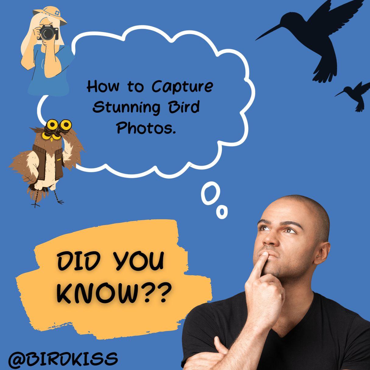 πΈCapturing the Beauty of Birds: Tips and Techniques for Bird Photographyπ¦