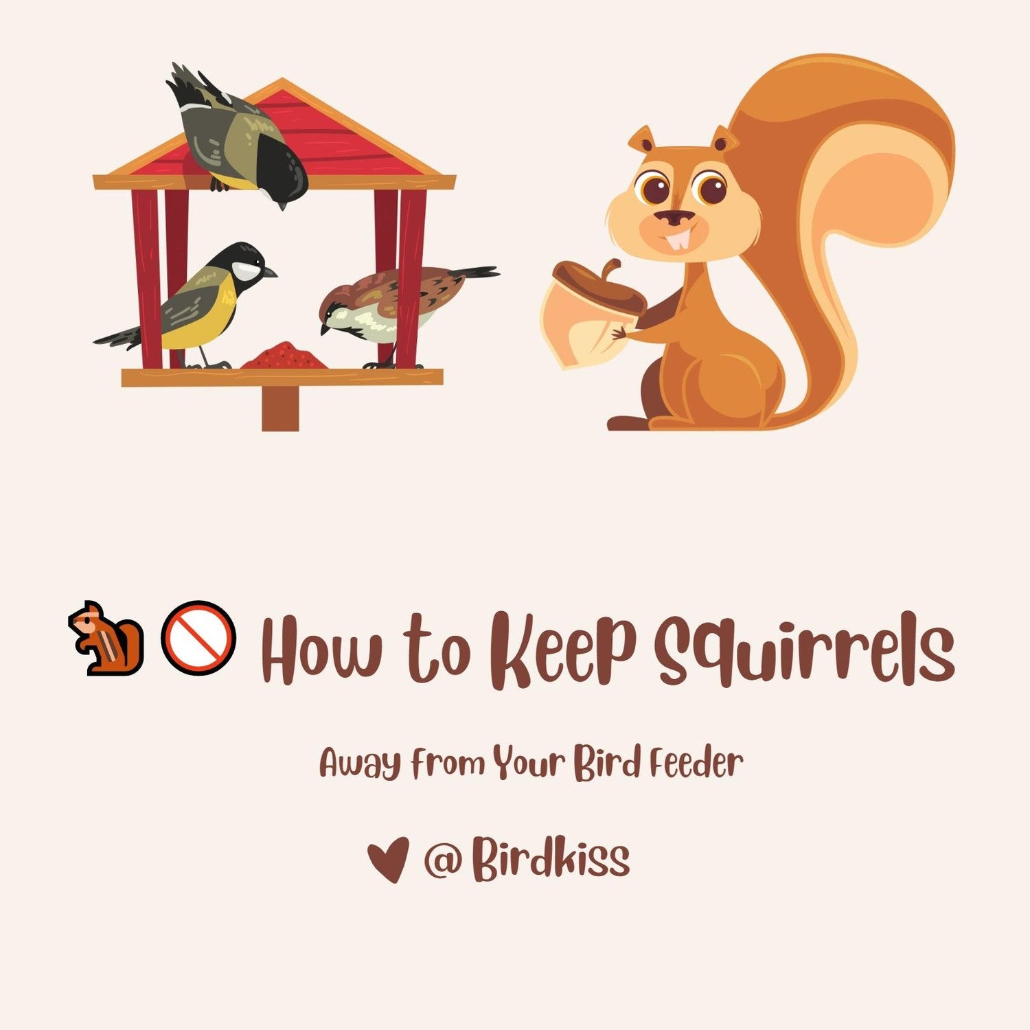🐿️🐦🚫How to Keep Squirrels Away from Your Bird Feeder 🌳🌰