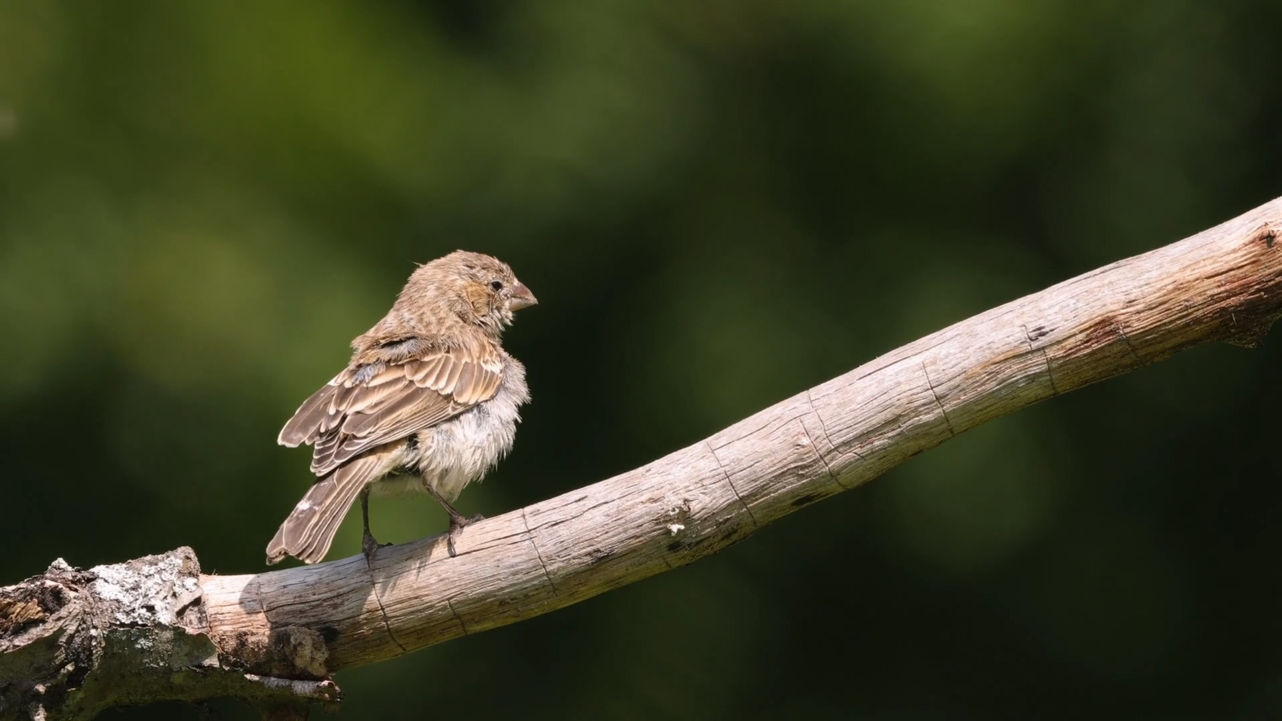 未命名1.png__PID:43ec87fa-6abe-49ff-ad1e-fcbf8c2d7644