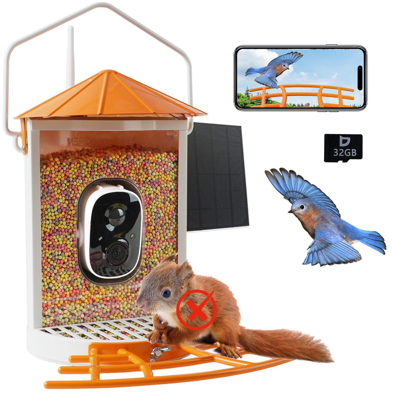 Metal Squirrel Proof Bird Feeder with Camera