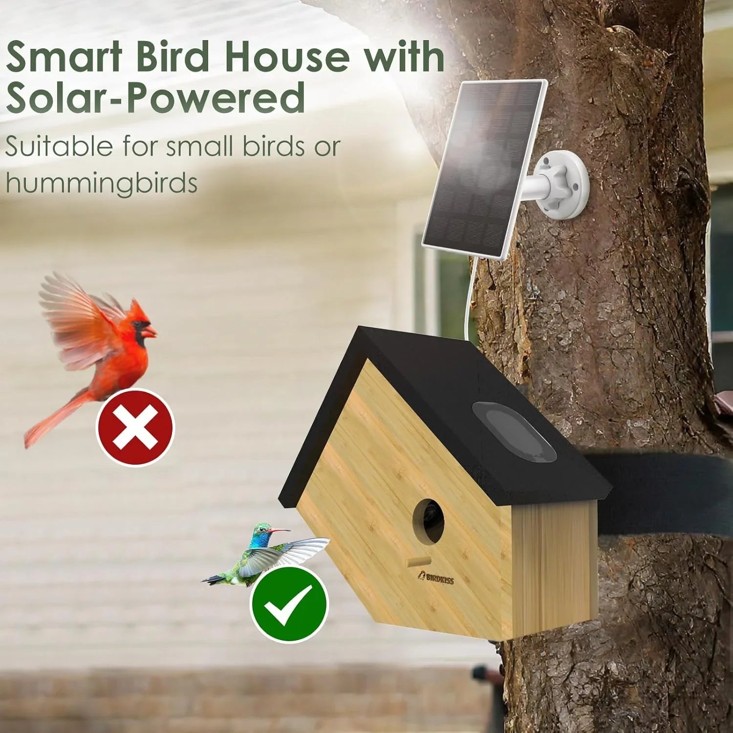 Smart BirdHouse Mini with Camera