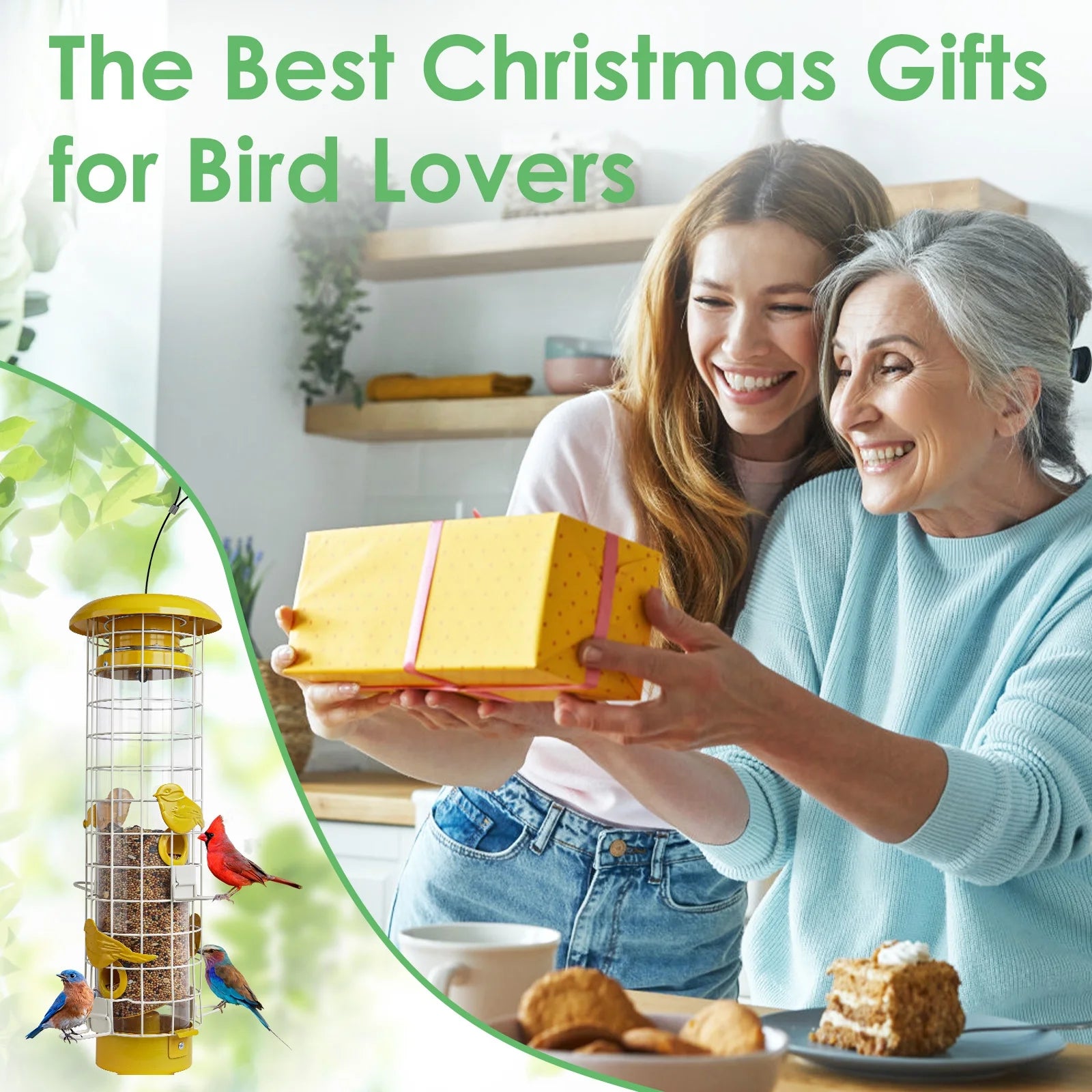 Birdkiss Squirrel-Proof Metal Bird Feeder - 3LBs