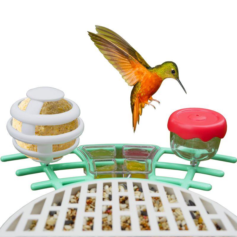 Birdkiss Extra Smart Bird Feeders Kit