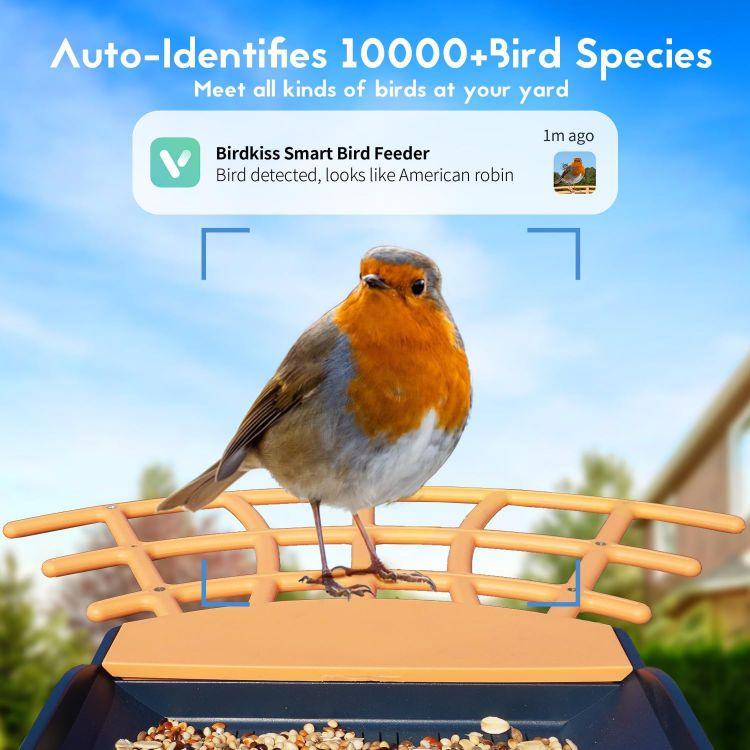 Smart Bird Feeder with Camera 1st generation