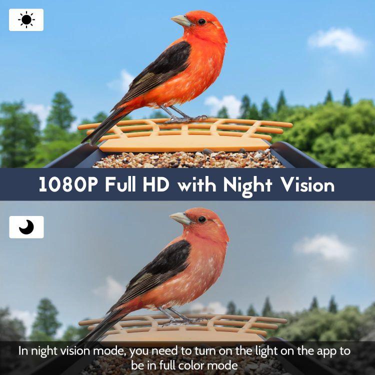 Smart Bird Feeder with Camera 1st generation
