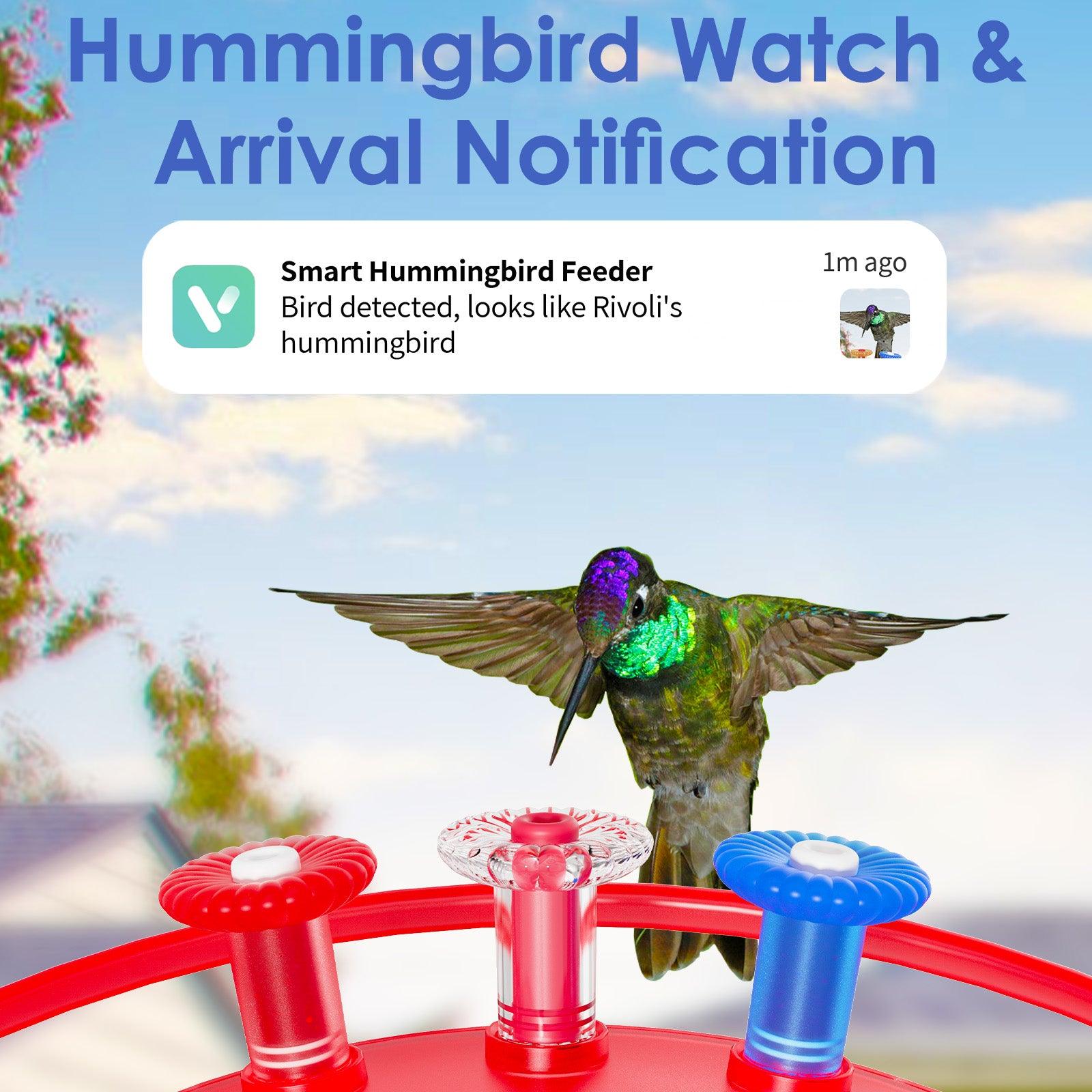 32 OZ Smart Hummingbird Feeder with Camera