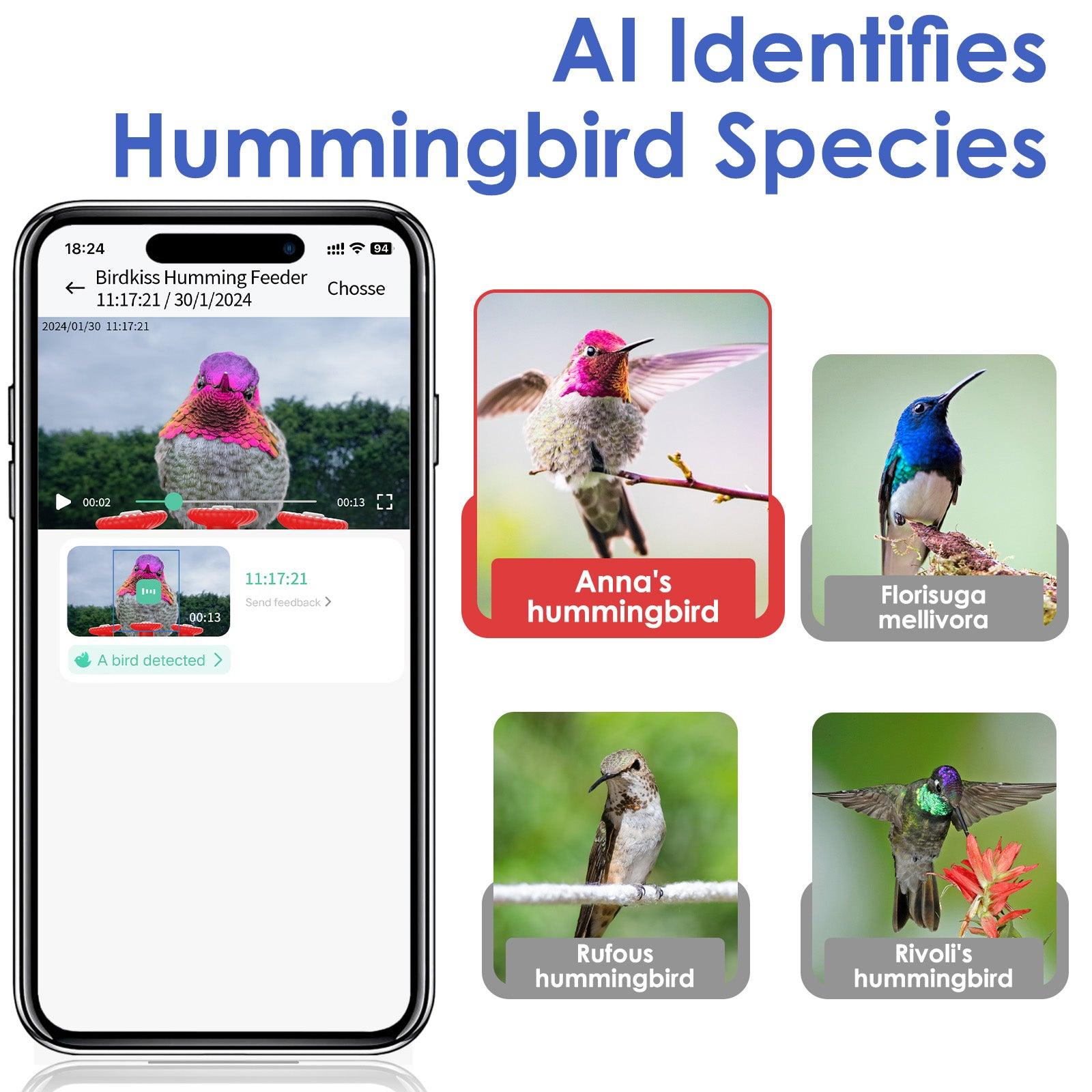 32 OZ Smart Hummingbird Feeder with Camera