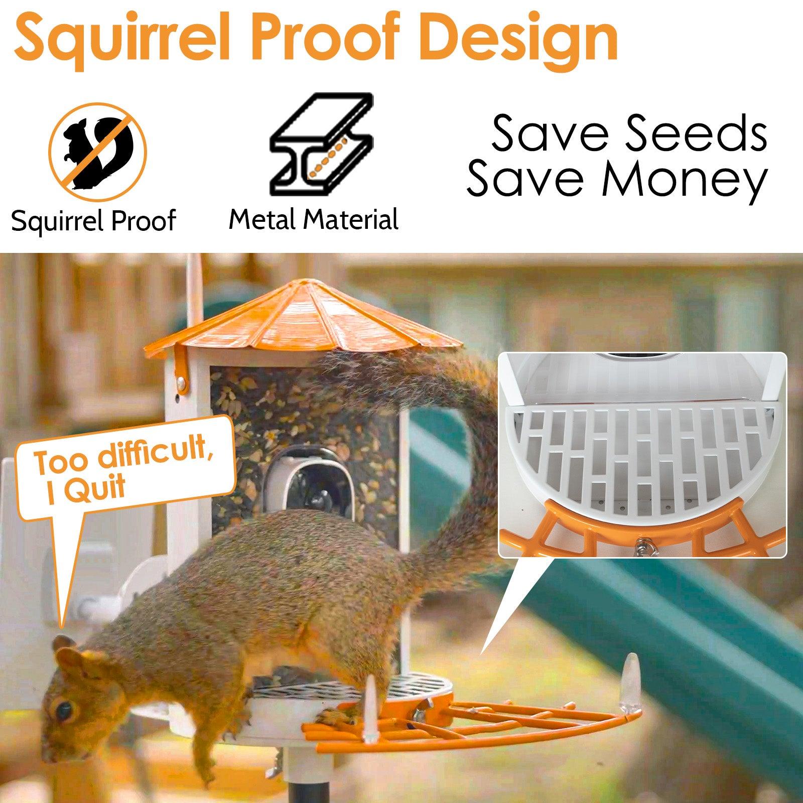 Metal Squirrel Proof Bird Feeder with Camera