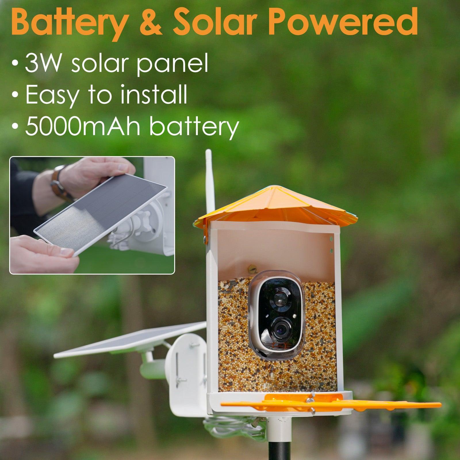 Metal Squirrel Proof Bird Feeder with Camera