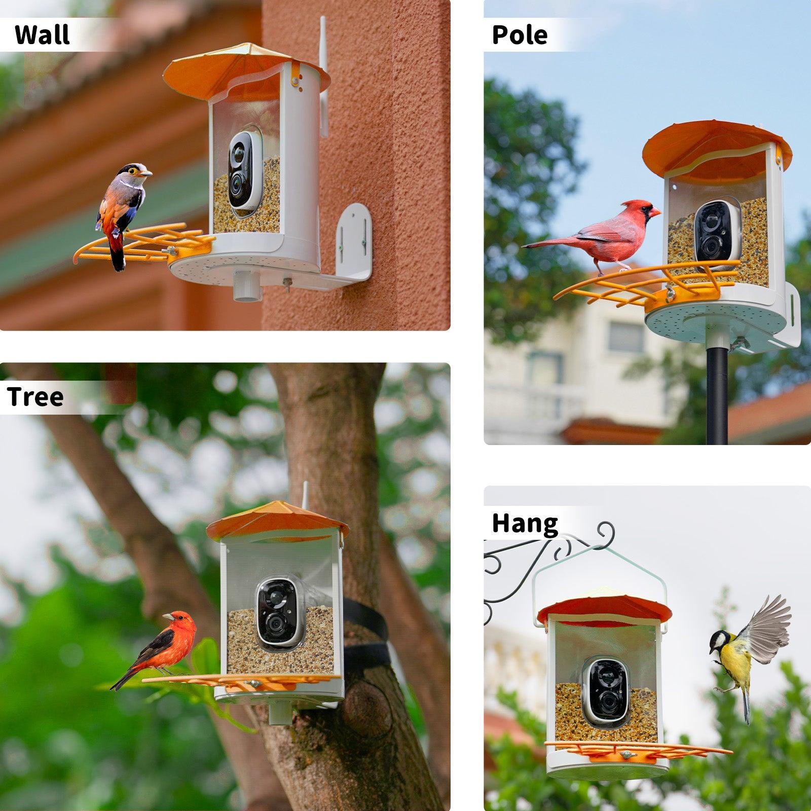 Metal Squirrel Proof Bird Feeder with Camera
