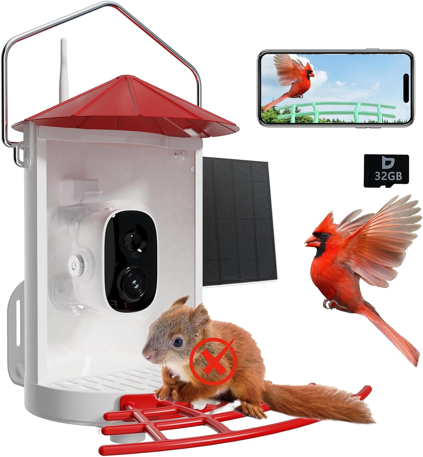 Metal Squirrel Proof Bird Feeder with Camera