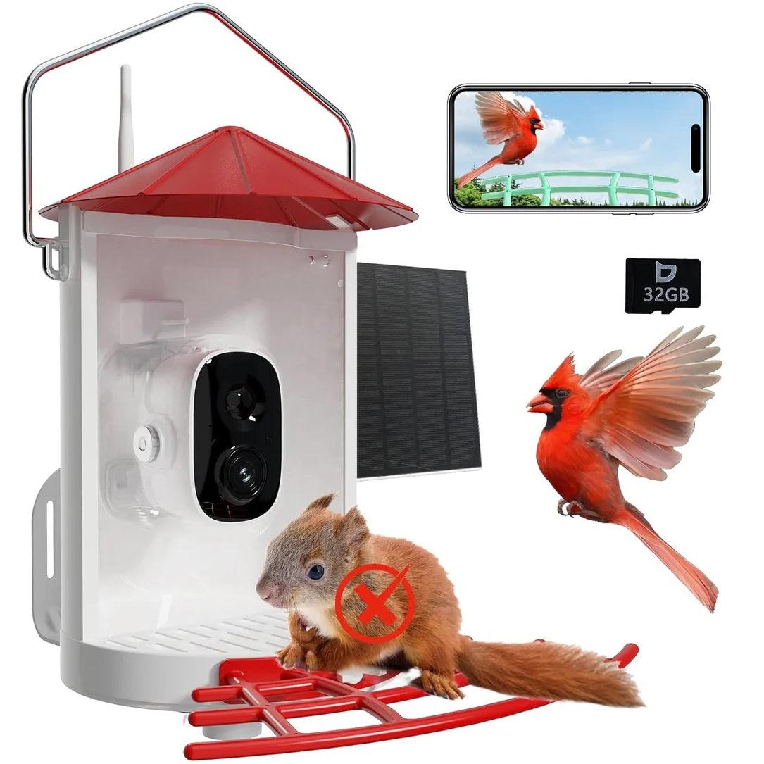 Metal Squirrel Proof Bird Feeder with Camera