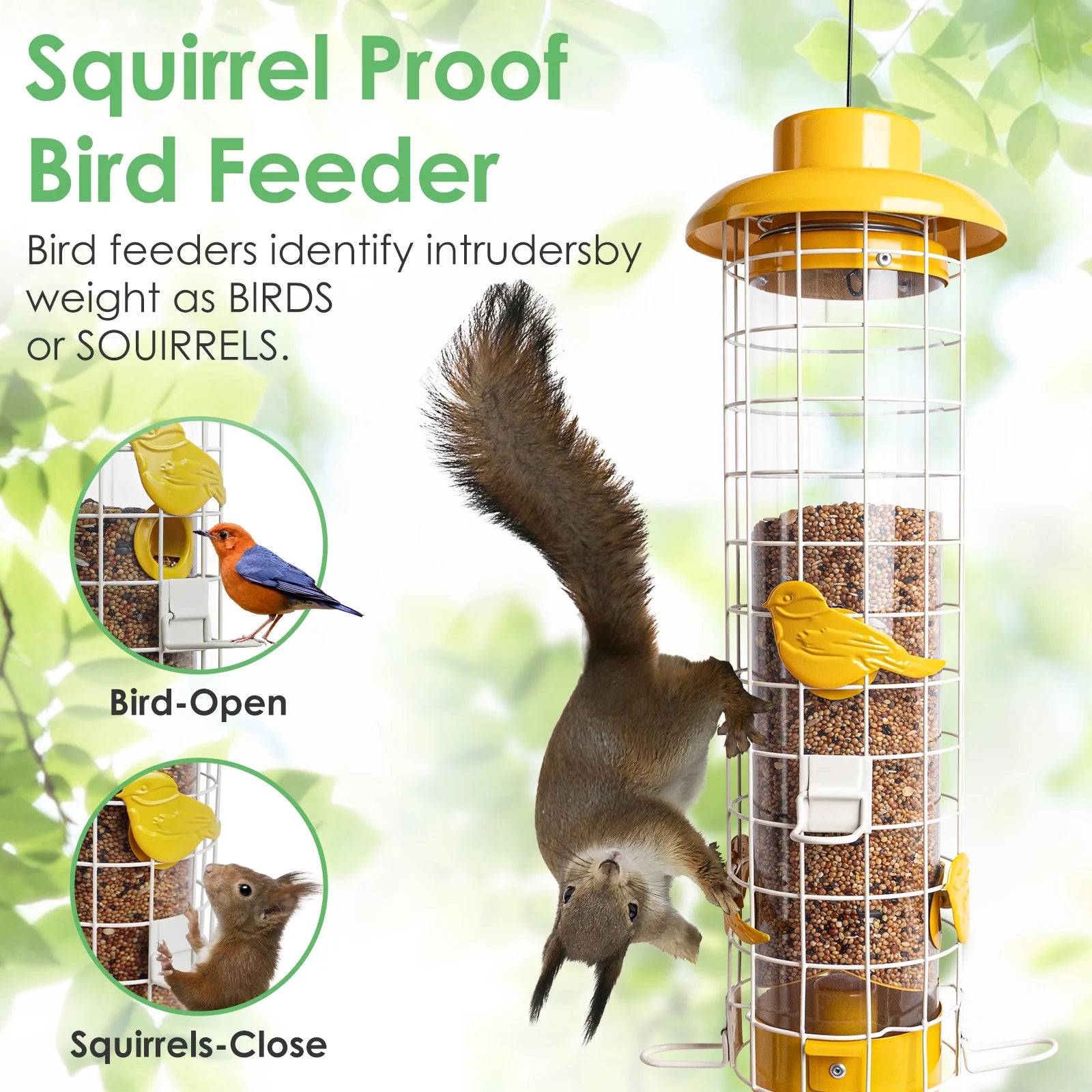 Birdkiss Squirrel-Proof Metal Bird Feeder - 3LBs