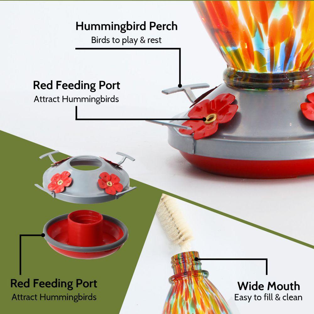Hummingbird Feeder 20 OZ