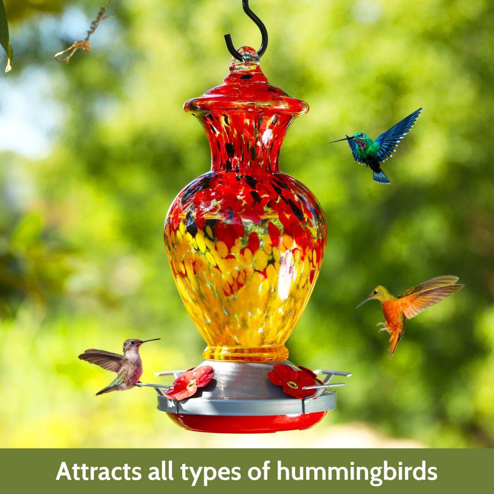 Hummingbird Feeder 20 OZ