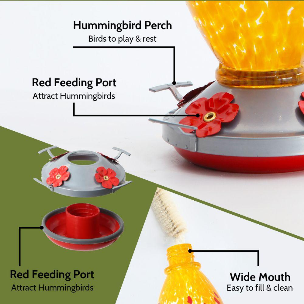 Hummingbird Feeder 20 OZ