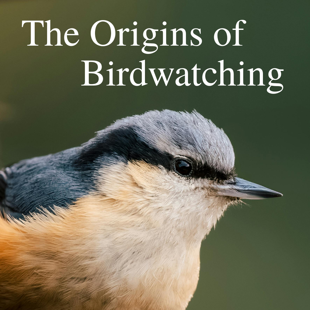 The Origins of Birdwatching: How Britain Inspired a Global Hobby