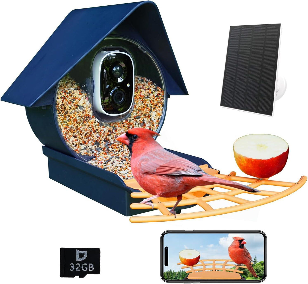 Birdkiss Smart Bird Feeder: An Immersive Bird-watching Experience