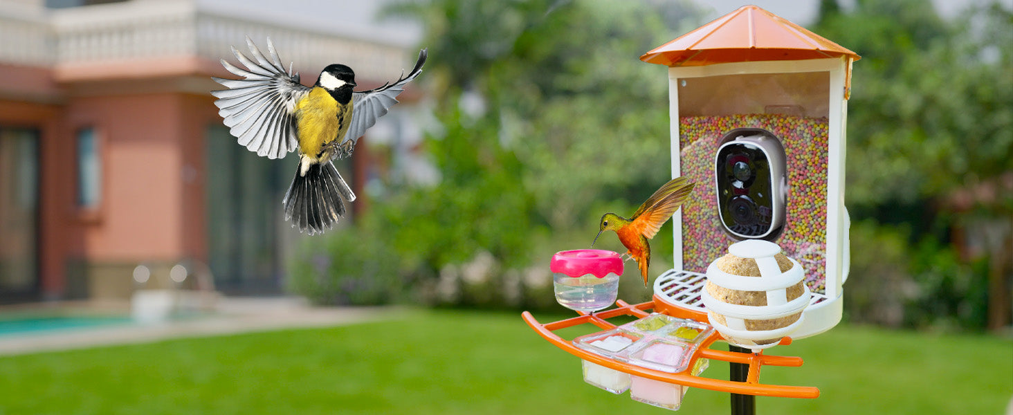 Birdkiss Extra Smart Bird Feeders Kit – Suet,Hummingbird,Jelly Feeders