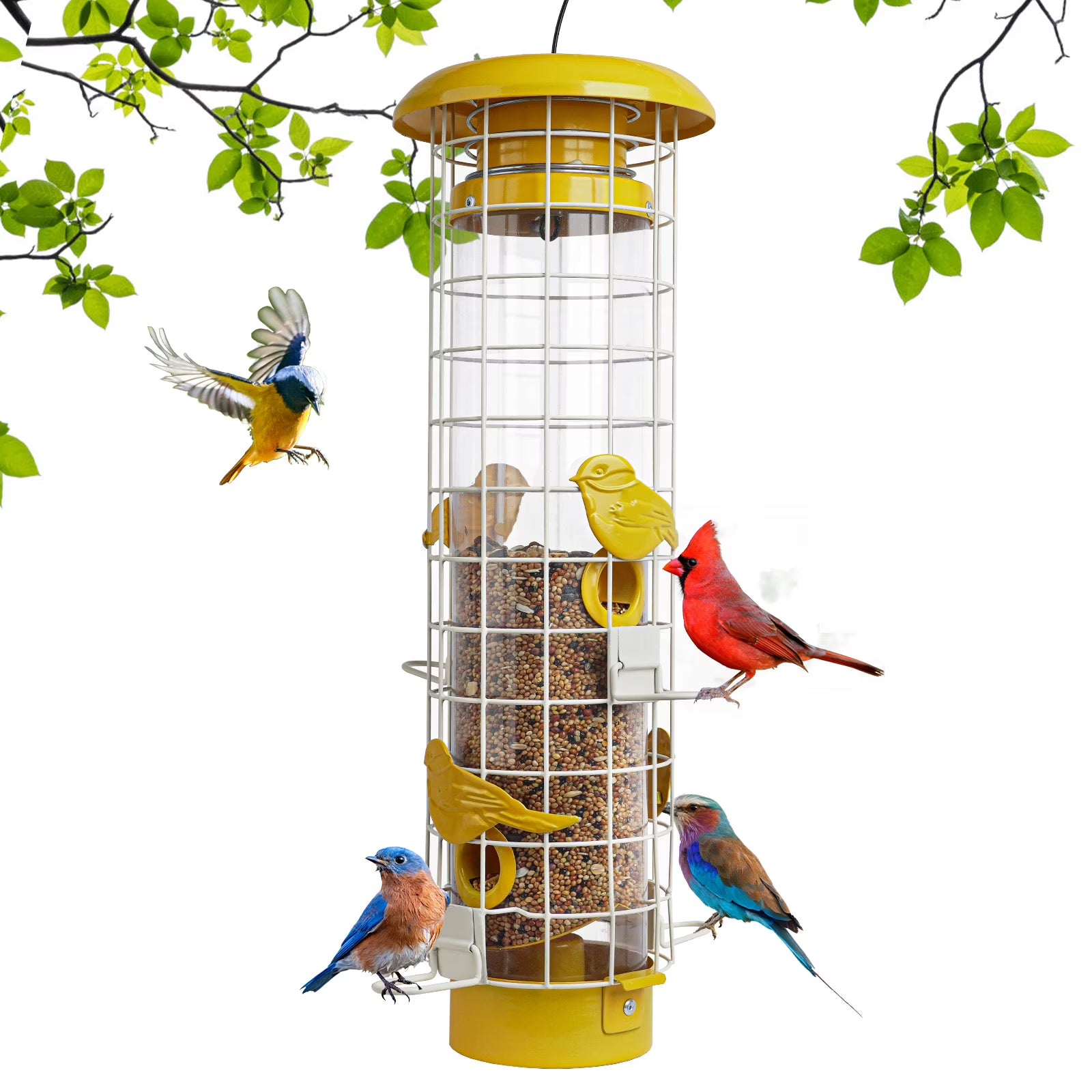 Birdkiss Squirrel-Proof Metal Bird Feeder - 3LBs