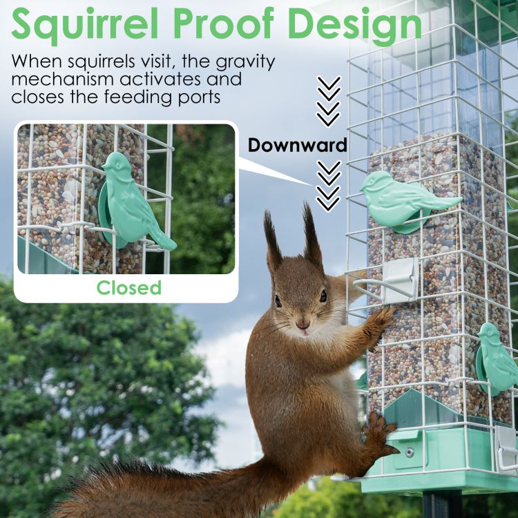 Birdkiss Metal Squirrel Proof Bird Feeder with 4 Weight-Activated Perches - 3LBs Large Seed Capacity & Pole Mount