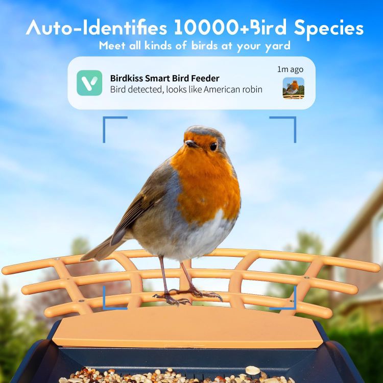 Smart Bird Feeder with Camera-Diamond blue