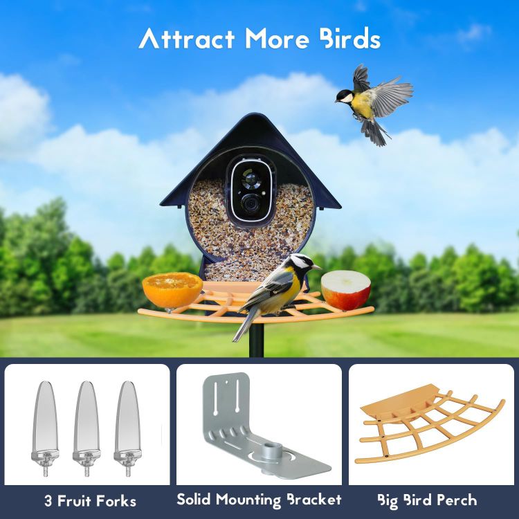 Smart Bird Feeder with Camera-Diamond blue