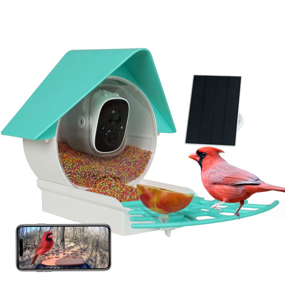 Smart Bird Feeder with Camera-Diamond blue