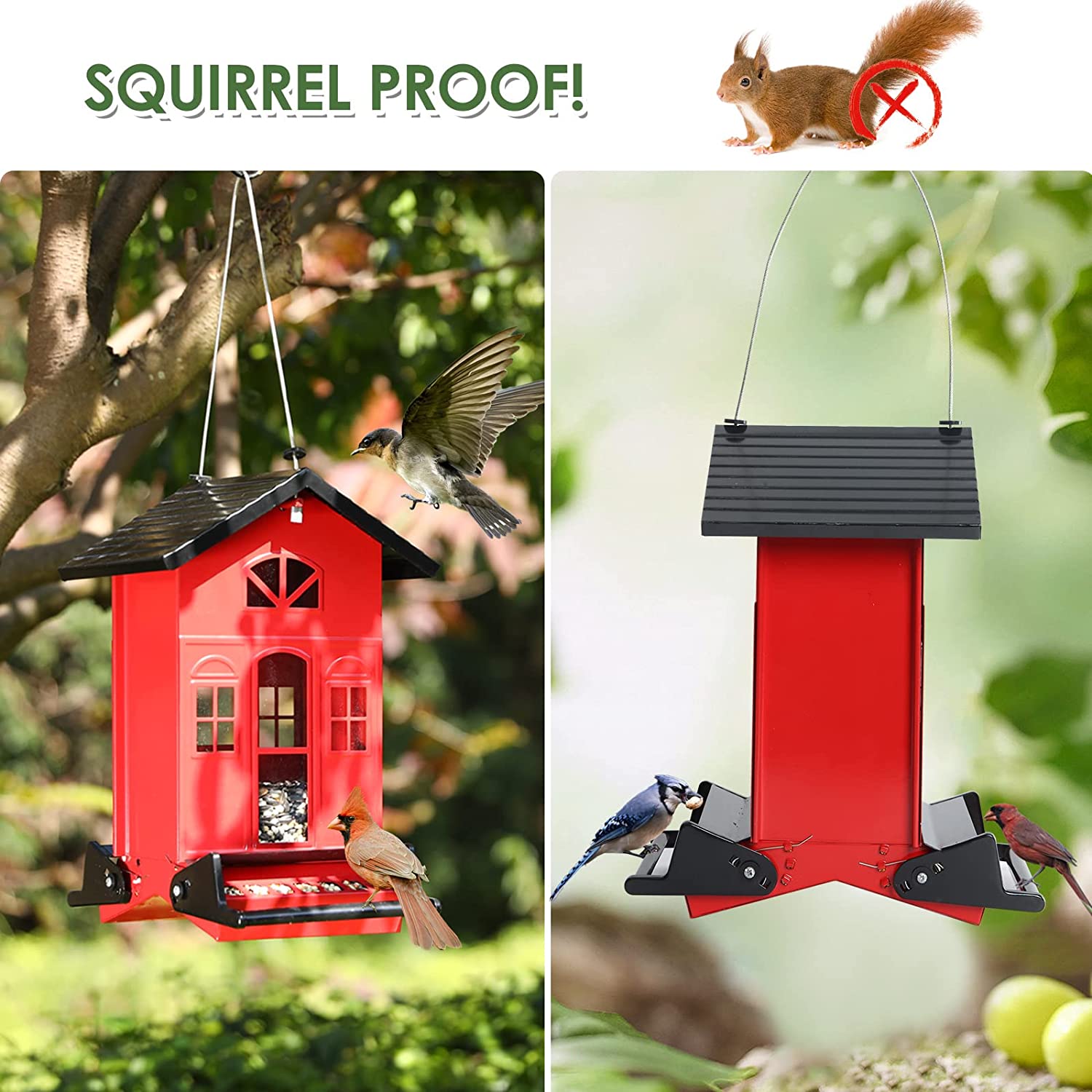 5 LBs Red Chateau Squirrel Proof Bird Feeder