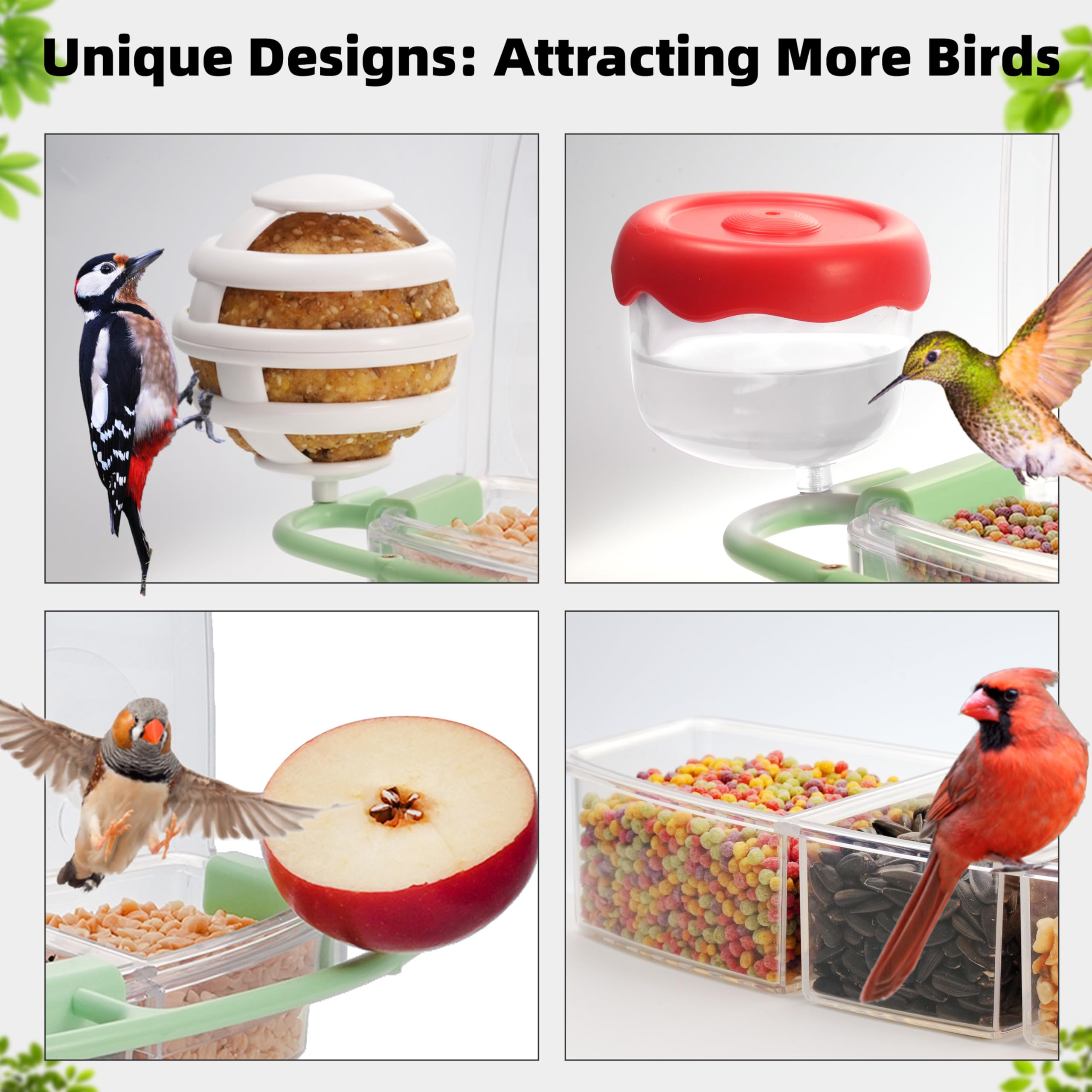 Window Bird Feeders with Strong Suction Cups