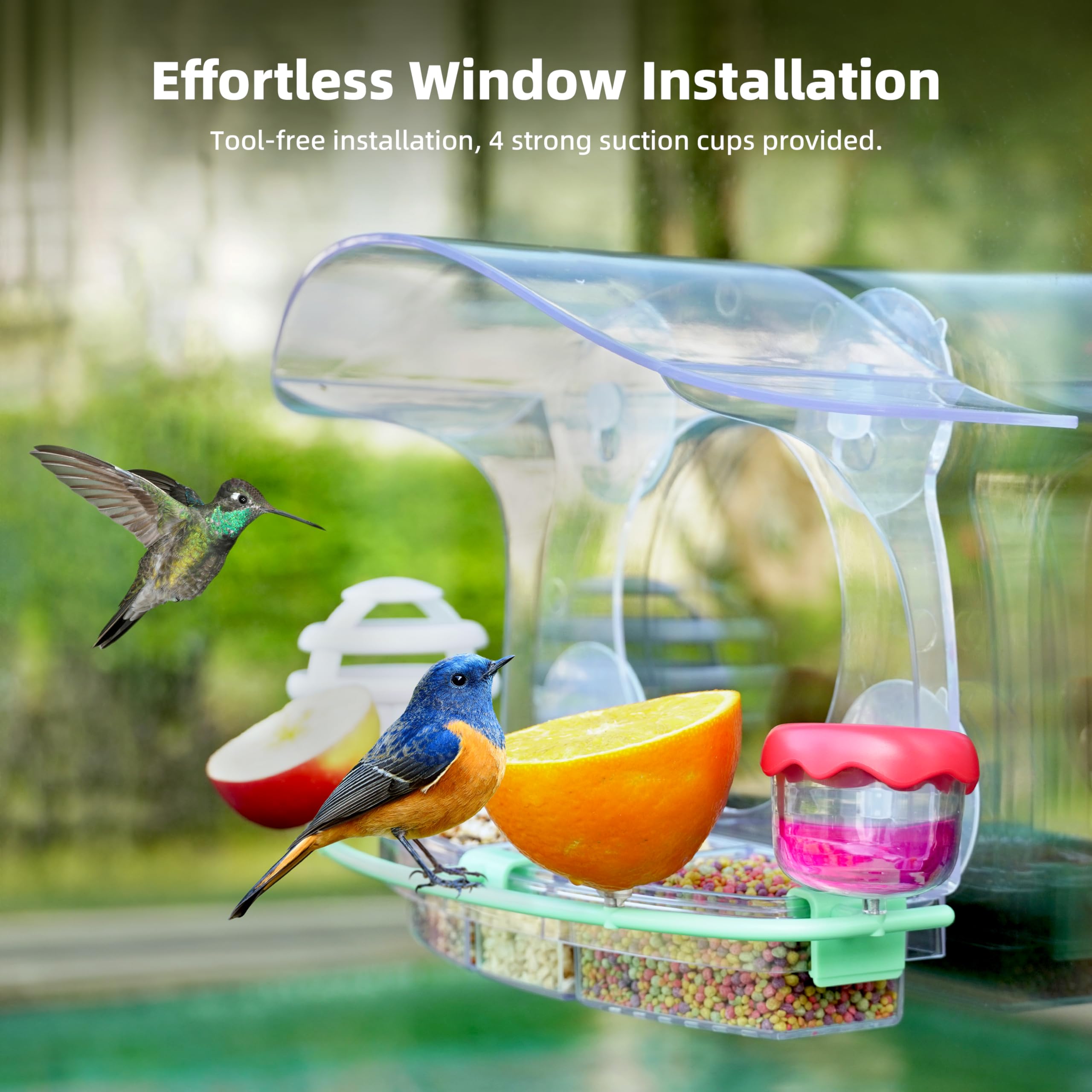 Window Bird Feeders with Strong Suction Cups