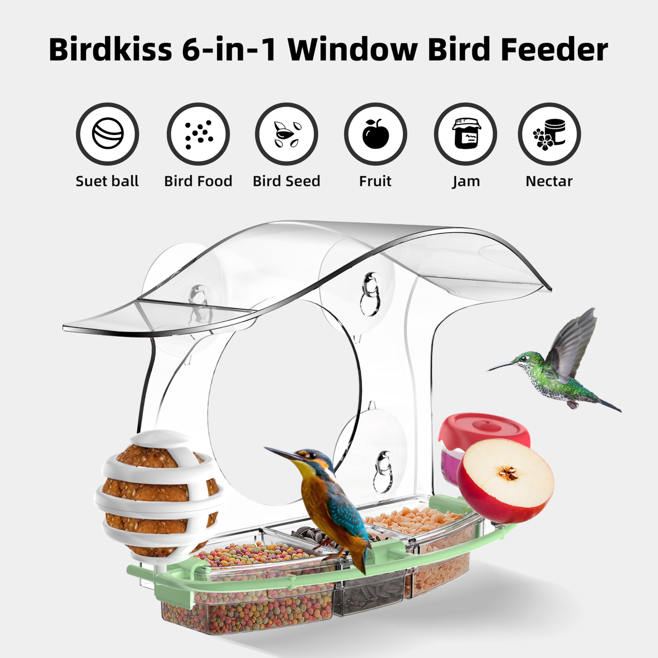 Window Bird Feeders with Strong Suction Cups