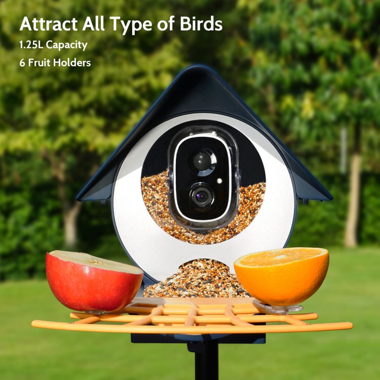 Front View of Birdkiss Smart Bird Feeder with Bird Seed and Fresh Oranges and Apples