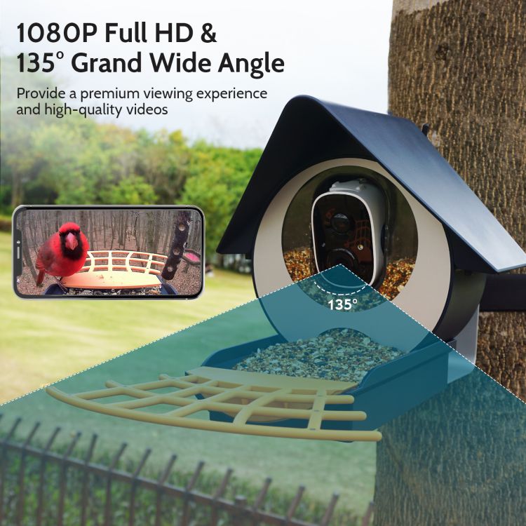 Shooting Angle Highlighted on the Birdkiss Smart Bird Feeder Camera for Perfect Footage